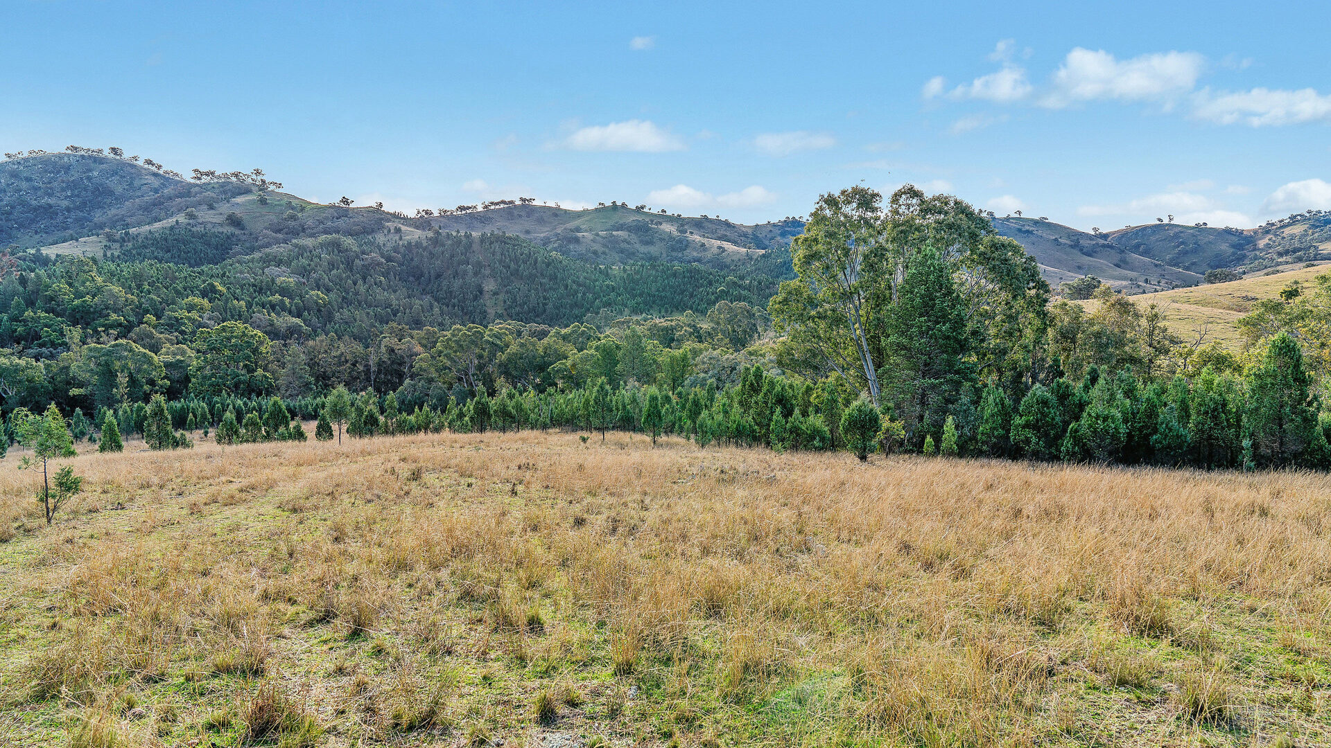 For Sale - 2/1193 Yarrabin Road - New Property in Mudgee - Real Estate by Stewart Adlington
