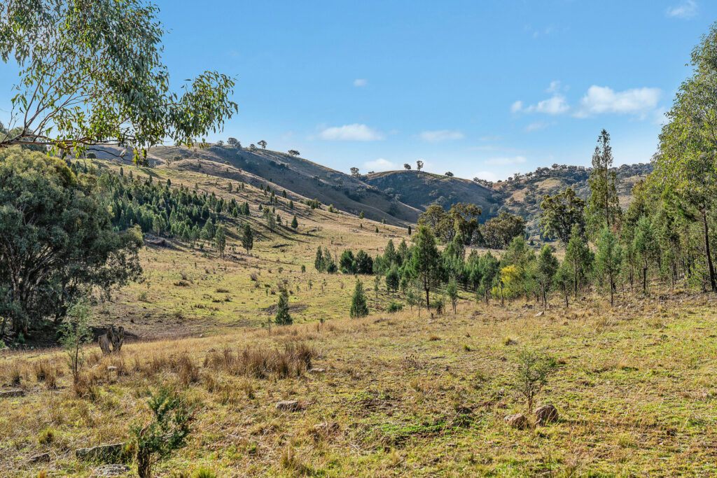 For Sale - 2/1193 Yarrabin Road - New Property in Mudgee - Real Estate by Stewart Adlington