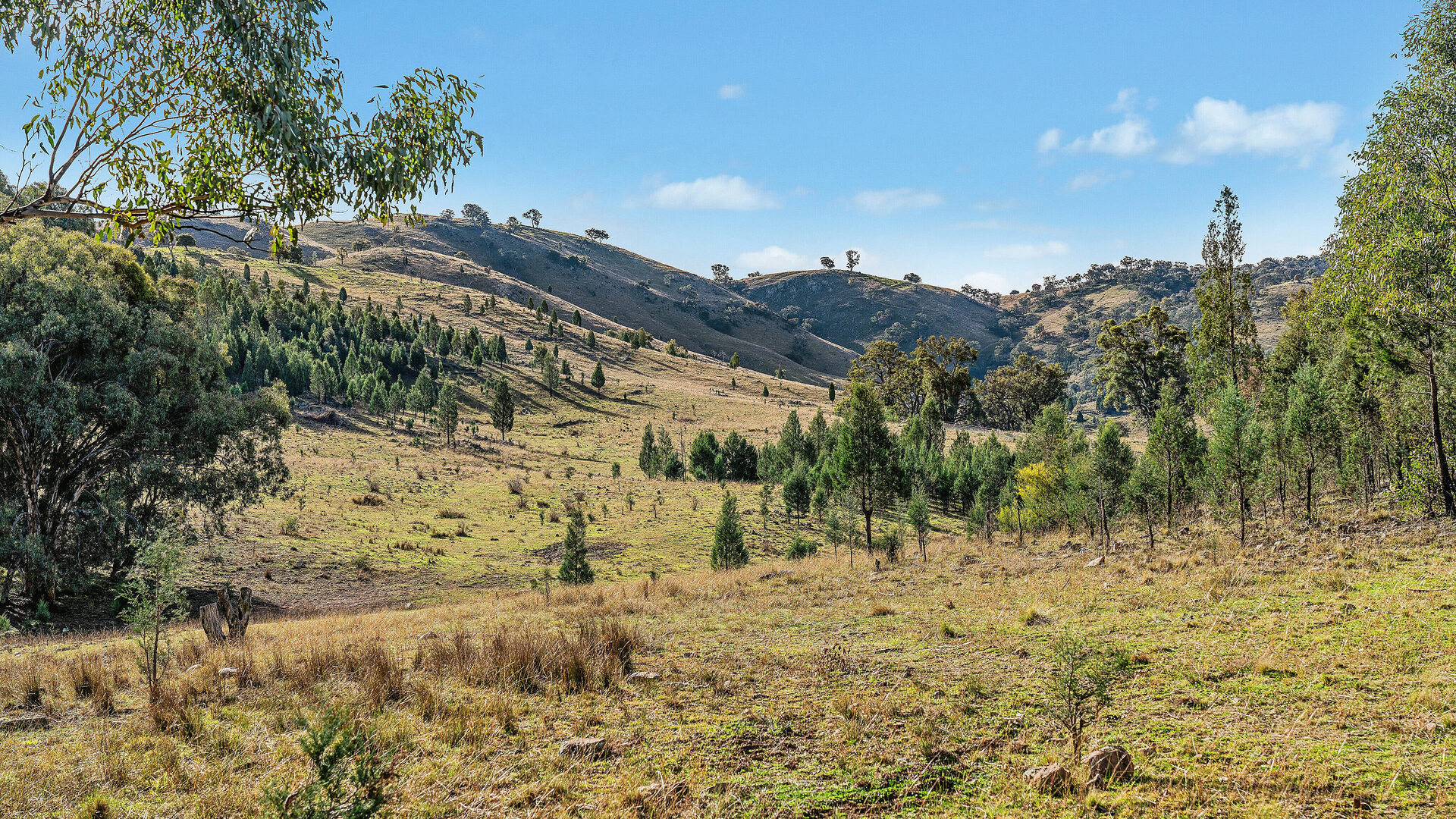 For Sale - 2/1193 Yarrabin Road - New Property in Mudgee - Real Estate by Stewart Adlington