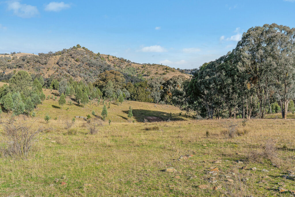 For Sale - 2/1193 Yarrabin Road - New Property in Mudgee - Real Estate by Stewart Adlington