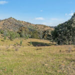 2/1193 Yarrabin Road Mudgee NSW 2850 AUS