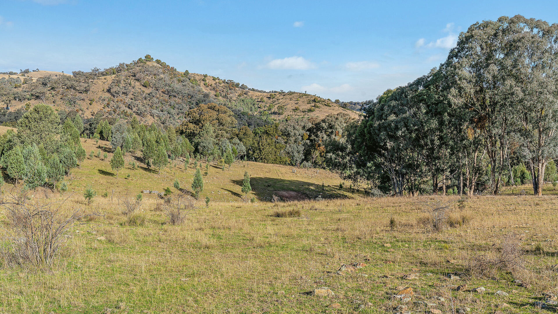 For Sale - 2/1193 Yarrabin Road - New Property in Mudgee - Real Estate by Stewart Adlington
