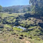 2/1193 Yarrabin Road Mudgee NSW 2850 AUS