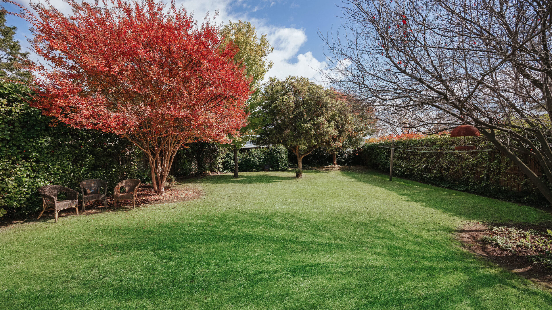 For Sale - 48 Lawson Street - New Property in Mudgee - Real Estate by Adam Sutherland
