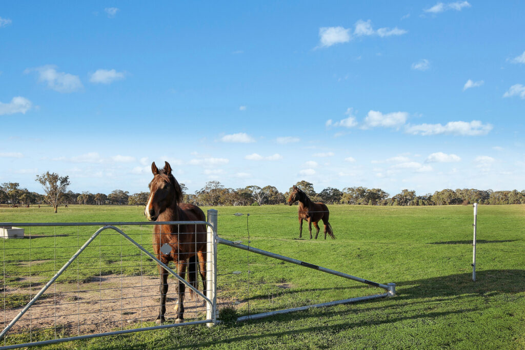 For Sale - 196, 211 Dabee Road - New Property in Kandos - Real Estate by Hamish Rowe