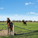 196, 211 Dabee Road Kandos NSW 2848 AUS