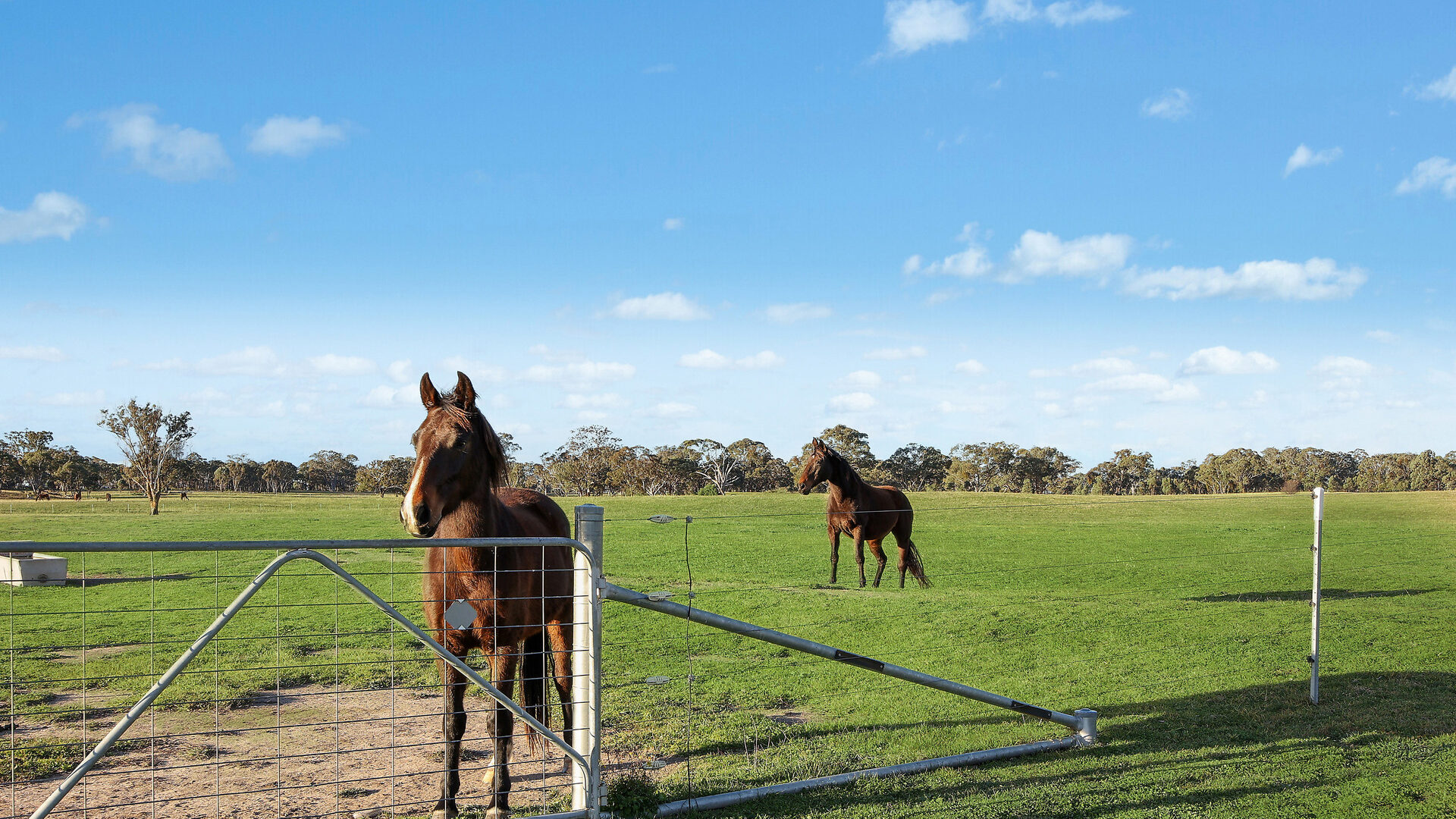 For Sale - 196, 211 Dabee Road - New Property in Kandos - Real Estate by Hamish Rowe