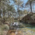 1807 Windeyer Road Windeyer NSW 2850 AUS