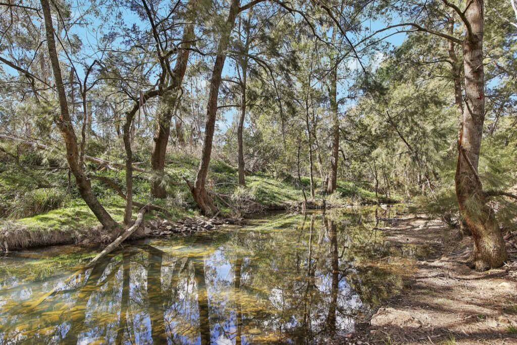 For Sale - 1807 Windeyer Road - New Property in Windeyer - Real Estate by Adam Woods