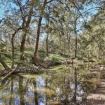 1807 Windeyer Road Windeyer NSW 2850 AUS