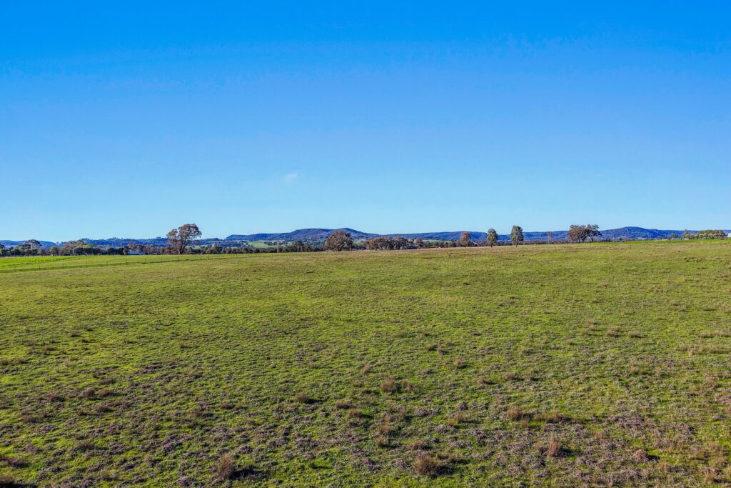 For Sale - 161 Stoney Creek Road - New Property in Mudgee - Real Estate by Adam Woods
