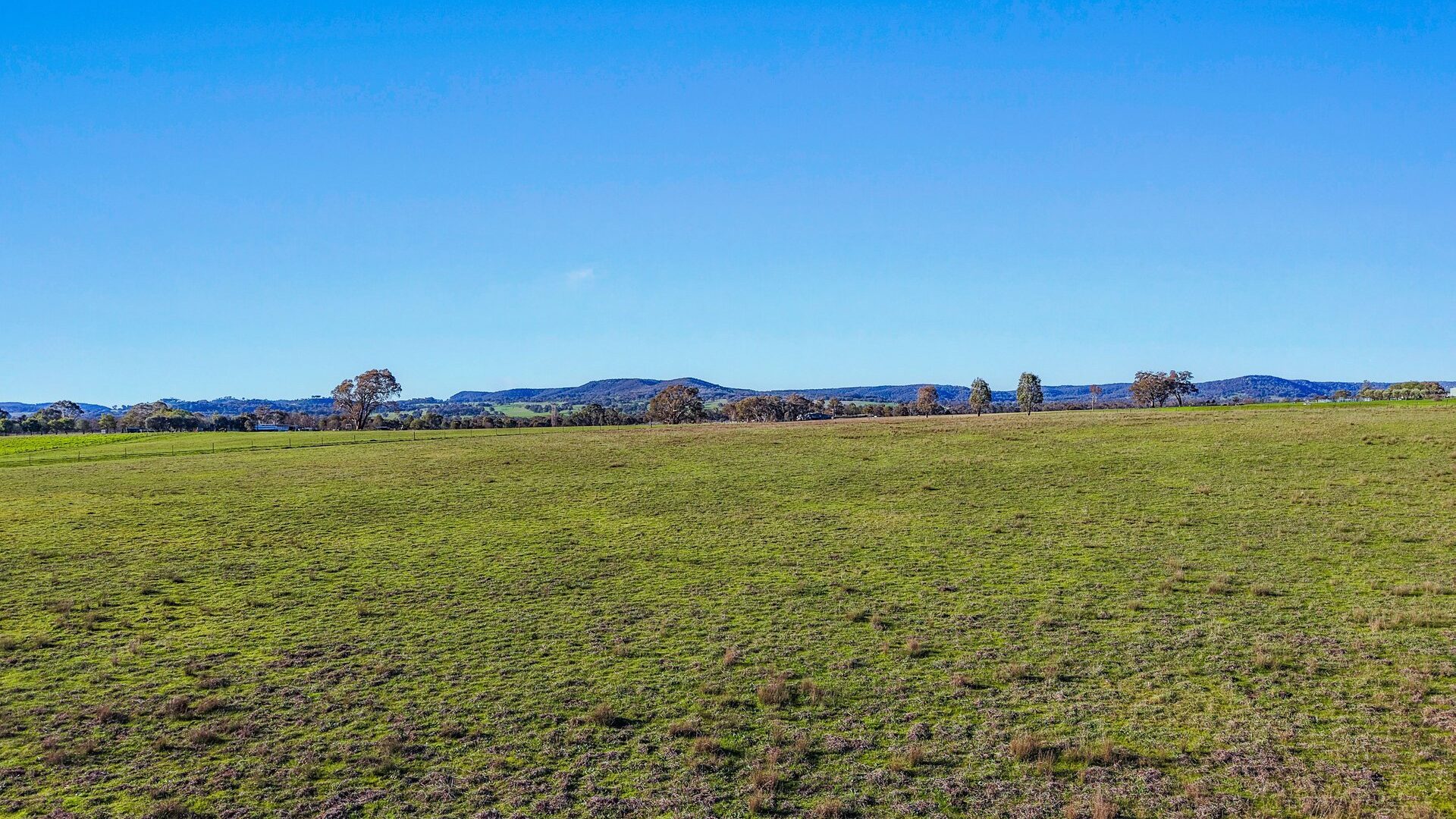 For Sale - 161 Stoney Creek Road - New Property in Mudgee - Real Estate by Adam Woods