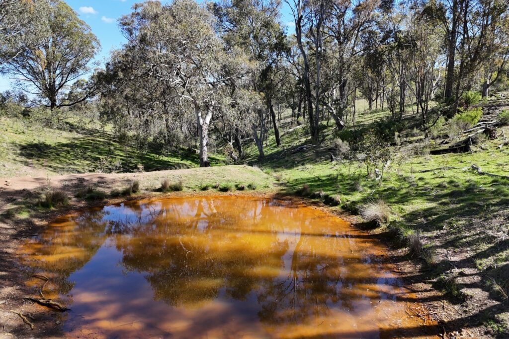 Off-Market Property, Rylstone NSW 2849 - McGrath Central Tablelands