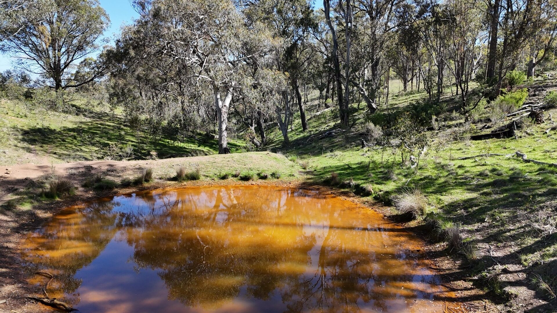 Off-Market Property, Rylstone NSW 2849 - McGrath Central Tablelands