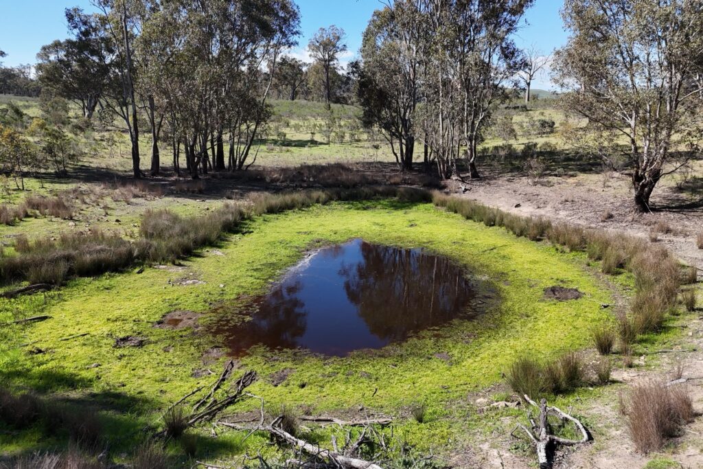 Off-Market Property, Rylstone NSW 2849 - McGrath Central Tablelands