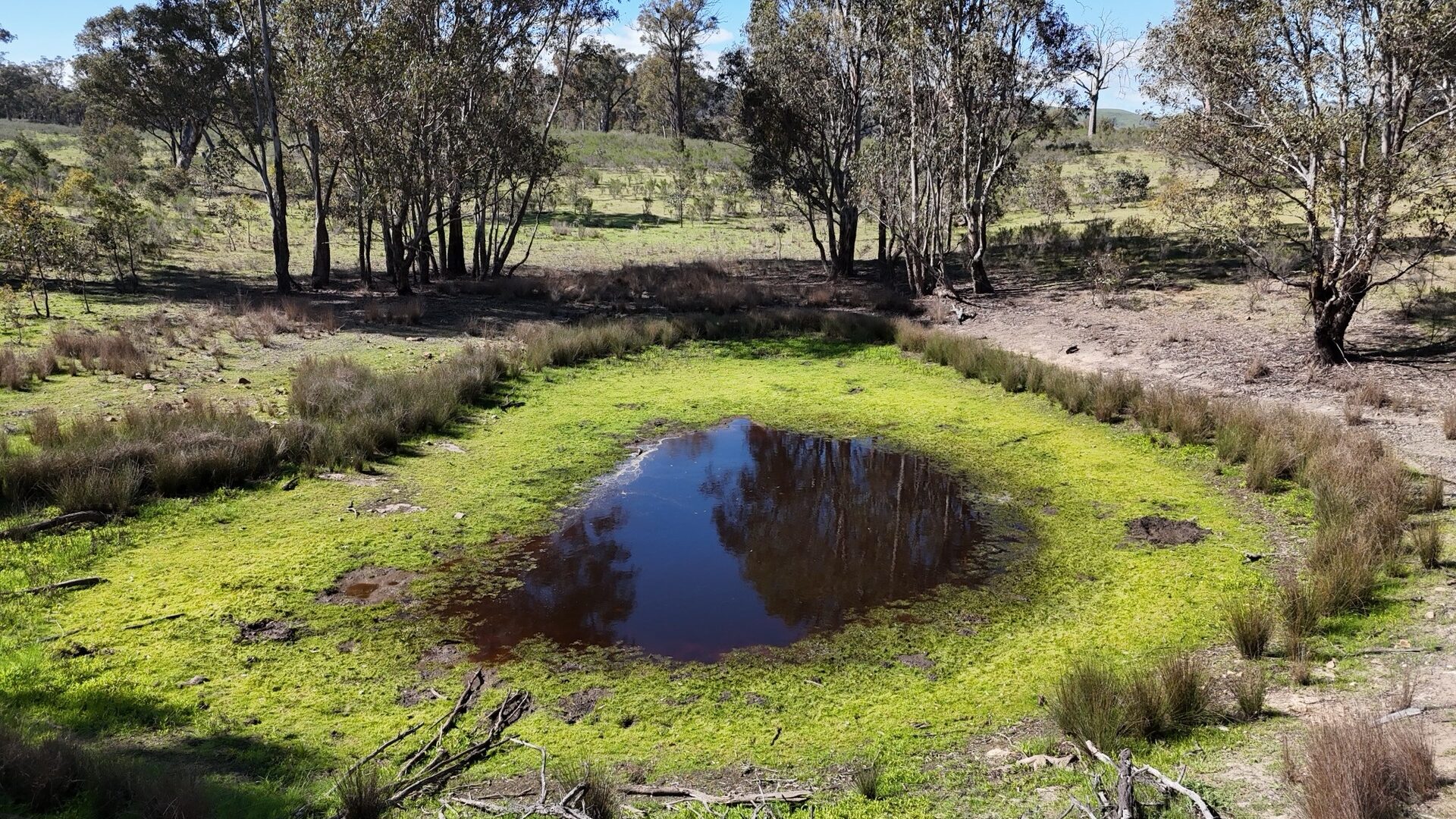 Off-Market Property, Rylstone NSW 2849 - McGrath Central Tablelands