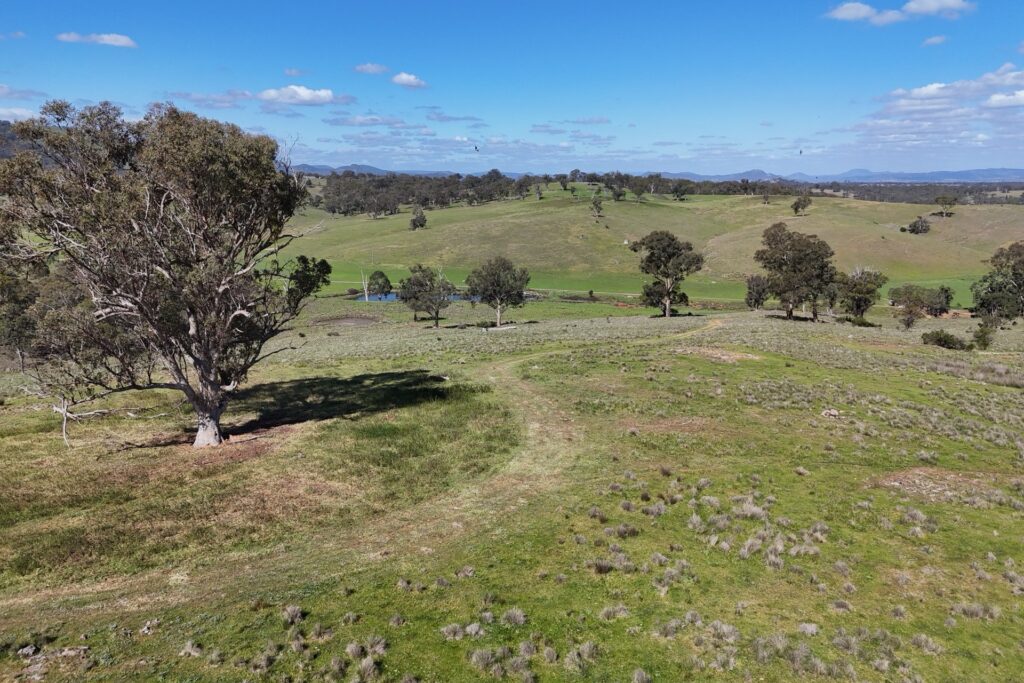 Off-Market Property, Rylstone NSW 2849 - McGrath Central Tablelands