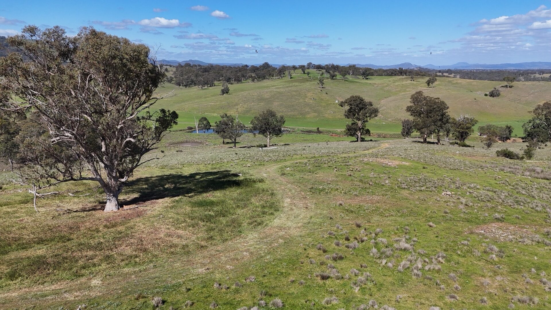Off-Market Property, Rylstone NSW 2849 - McGrath Central Tablelands