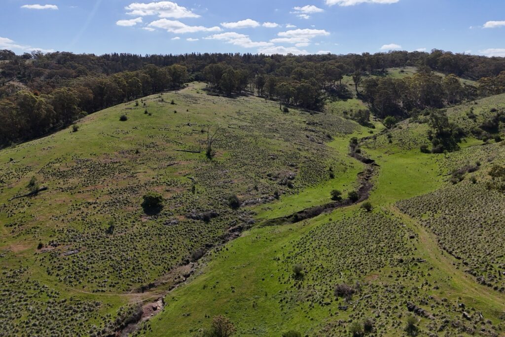 Off-Market Property, Rylstone NSW 2849 - McGrath Central Tablelands