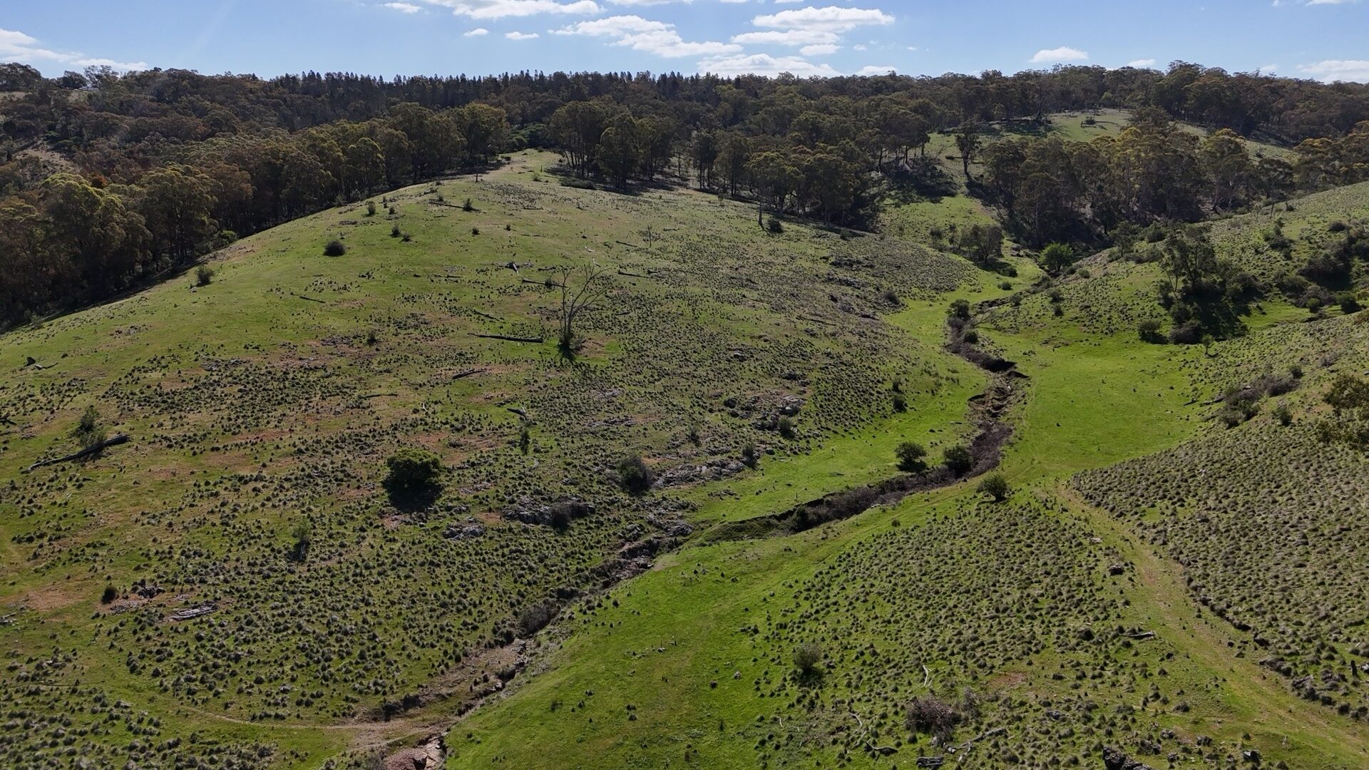 Off-Market Property, Rylstone NSW 2849 - McGrath Central Tablelands