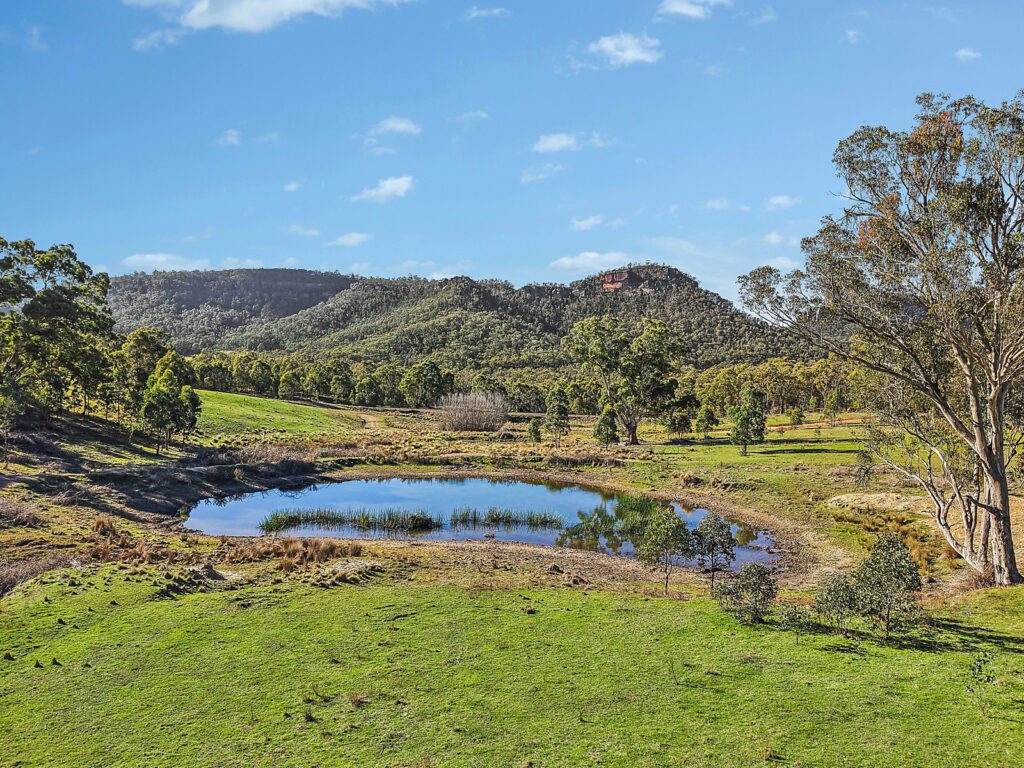 For Sale -  Lot 92, 375 McDonalds Hole Road - New Property in Running Stream - Real Estate by Adam Woods