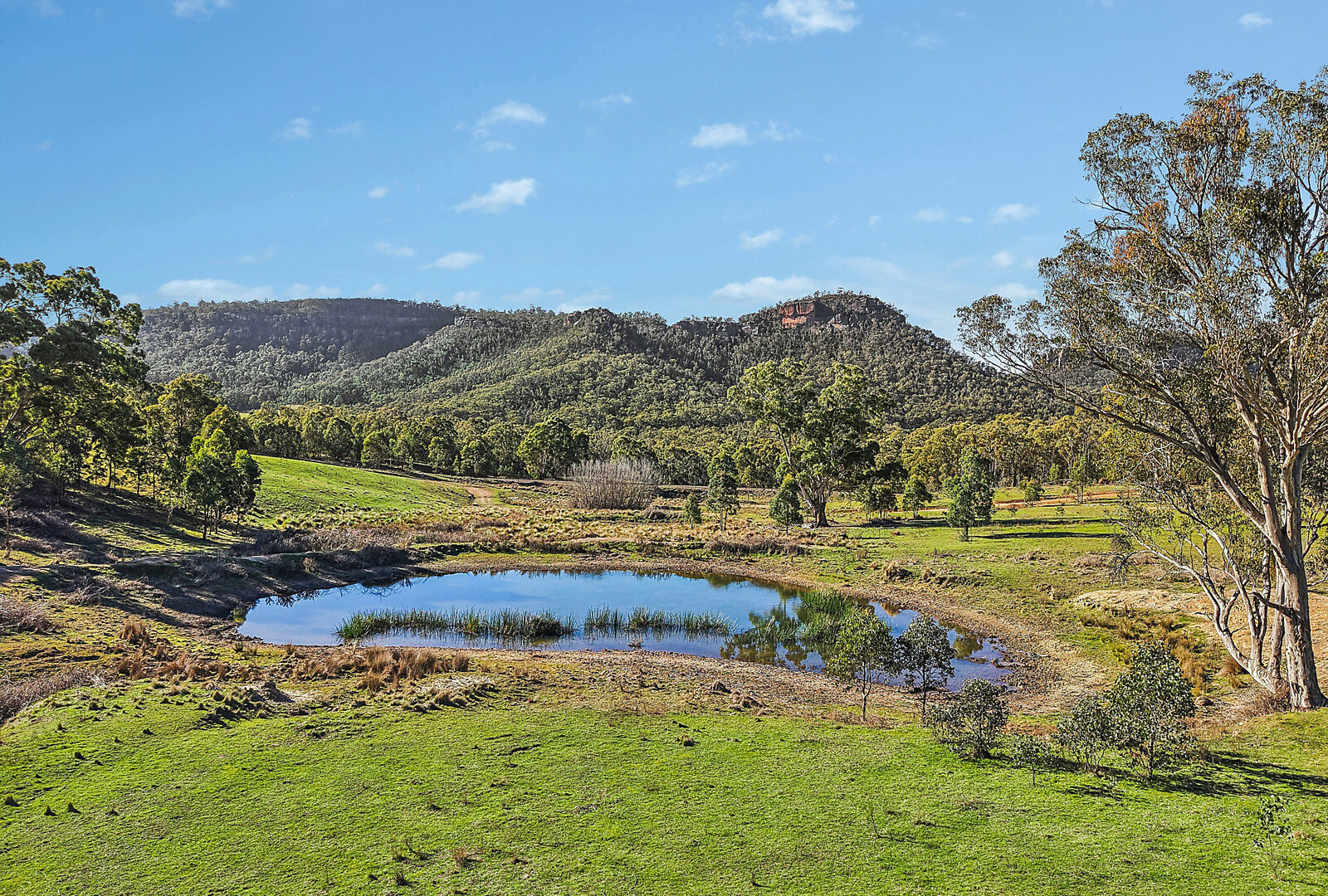 For Sale -  Lot 92, 375 McDonalds Hole Road - New Property in Running Stream - Real Estate by Adam Woods